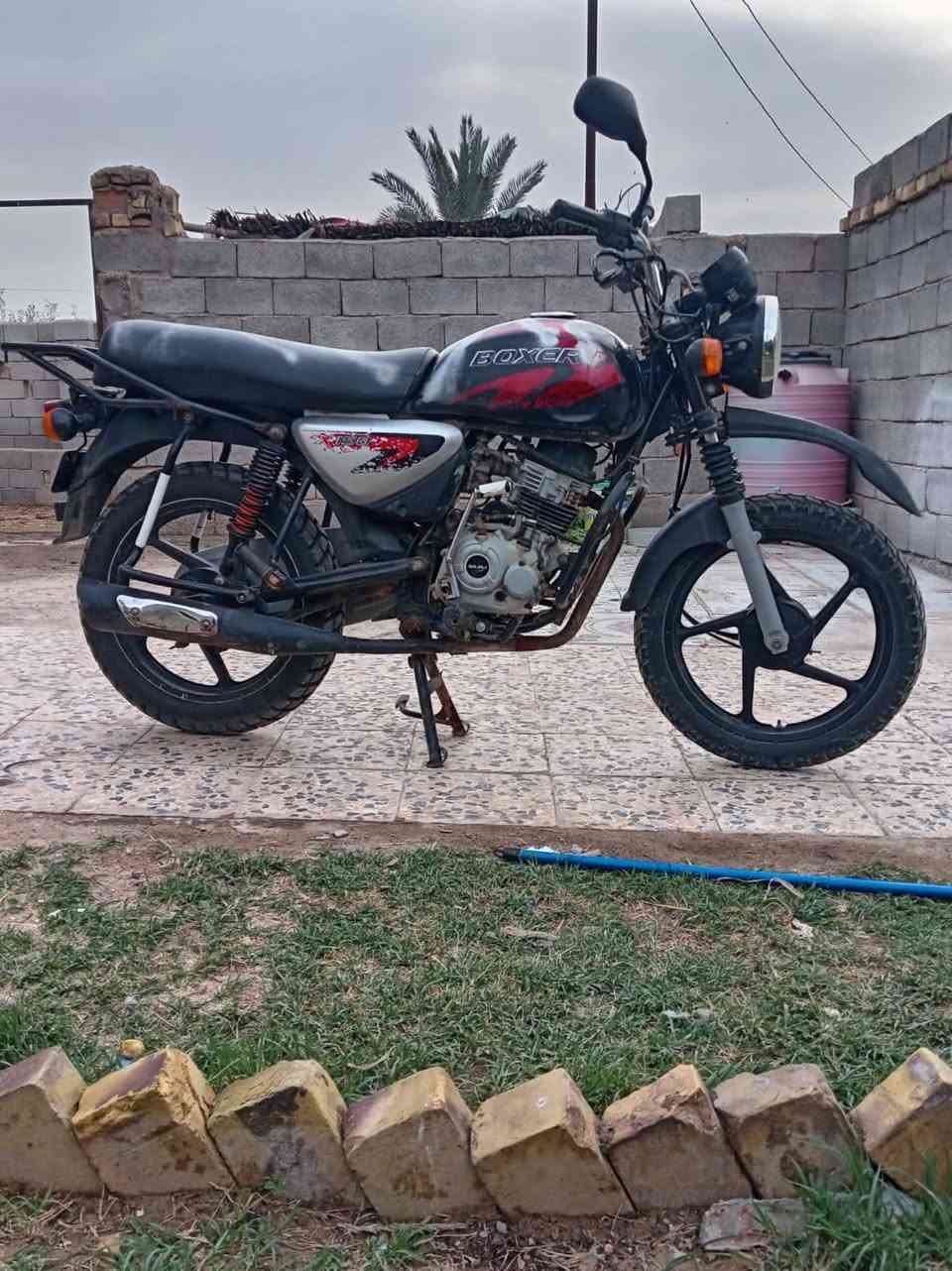 بوكسر  هندي  بدون اوراق  المو شراي لا يتعبني ولا تعبه 
*********** موجود وتساب للشراي
