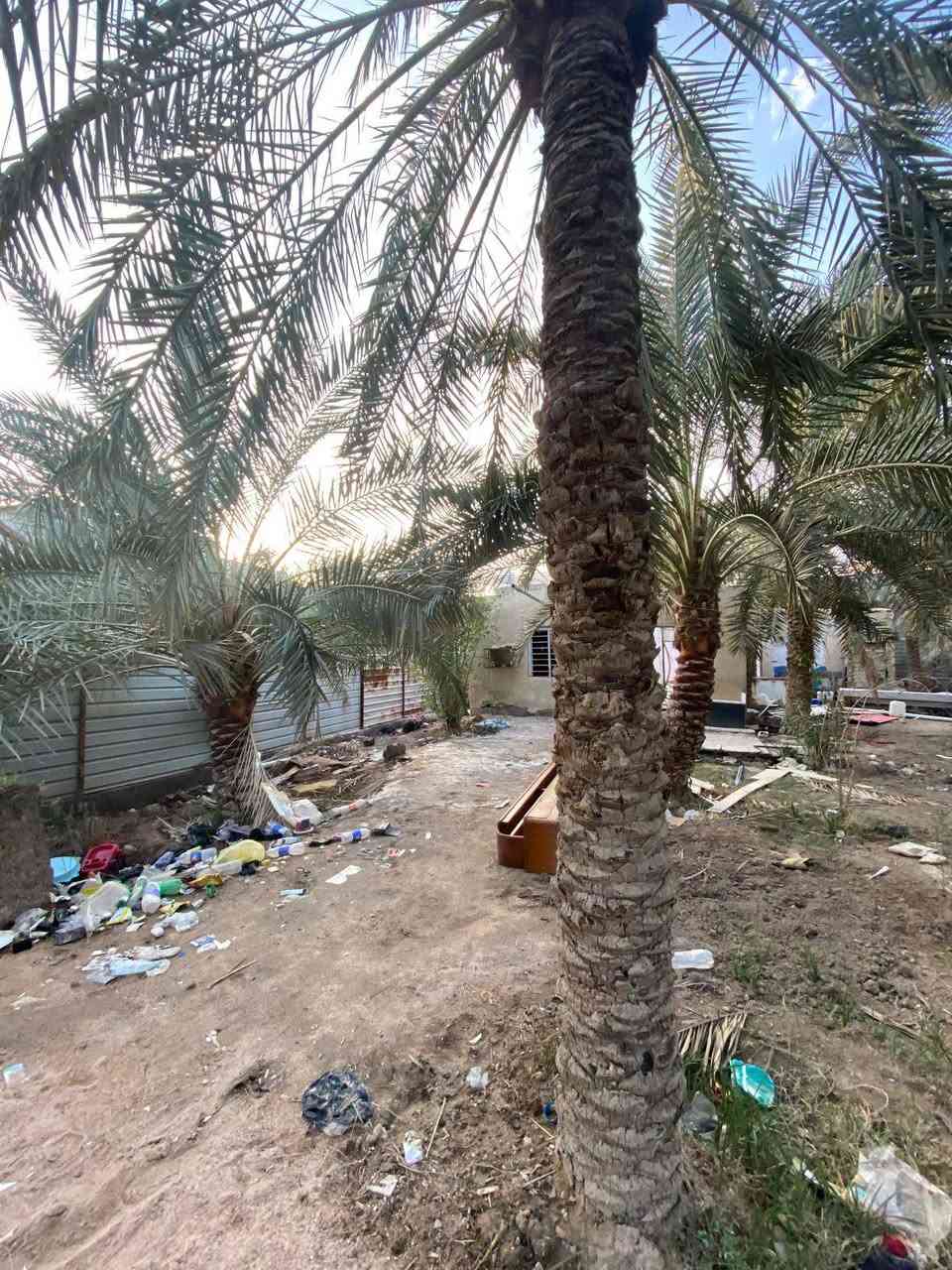 السلام عليكم ورحمة الله وبركاته
تتوفر قطعه ارض بمساحه ٤٠٠٠ متر 
طابو ملك صرف تحويل سهم بلاسم 
مثل ما موضح بصوره ارض صالحه لزراعه 
والنخيل ماشاءالله متنوع وبيها انواع من النخيل تتوفر كافه الخدمات ماء كهرباء 
شارع 🔟 متر الموقع بصره ابو الخصيب حمدان سعر الدونم ٤٧٥ وقابل للتفاوض 
للاستفسار عن العقار
***********
