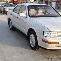 ١٩٩١ • رقم نجف • مكفوله