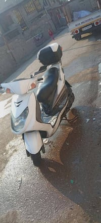 سكنس فحل • بغداد • ١٠٠ب١٠٠