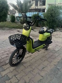 مراوس • ببلي فور • مهكر