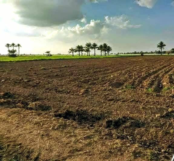 12 دوانم للبيع سعر الدونم الواحد 7 ملايين جاهزات طابو زراعي سند 25 فتح بيان بسمك
مزروهات حنطه وكاملات ماء وكهرباء يبعدن عن مدينة
سبع البور 20 دقيقه بلعيساويه العنوان مقابيل مدينة سبع 
البور منطقة الشيخ عامر بلعيساويه عبور جسر رعود الجسر
الثاني للاستفسار واتساب متوفر ***********
