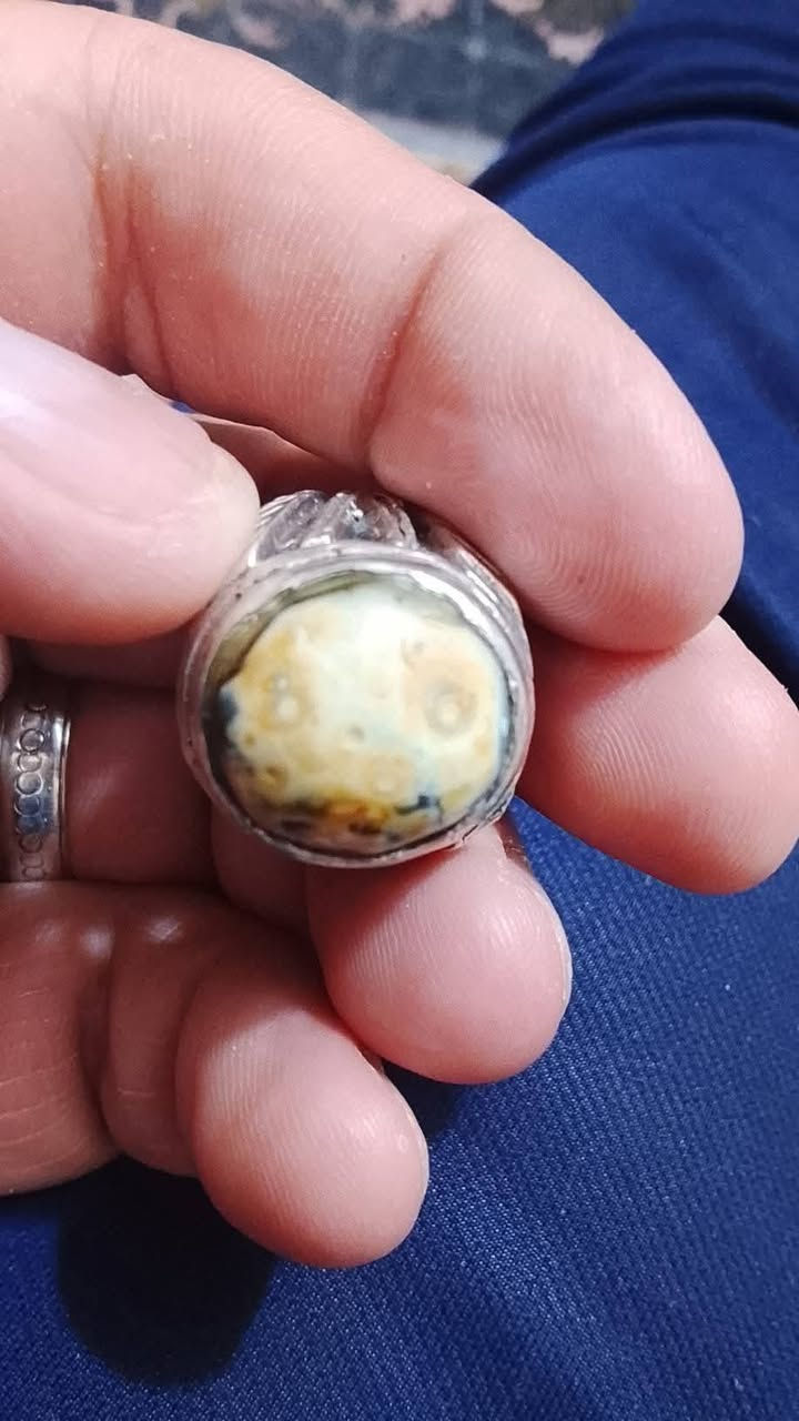 داودي قديم ب75


**إذا كنت صاحب هذا الإعلان وتريد حذفه لأي سبب، رجاءا أرسل رسالة إلى الدعم الفني**