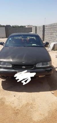 ١٩٩٥ • لا ضربة لا صبغ • رقم كربلاء