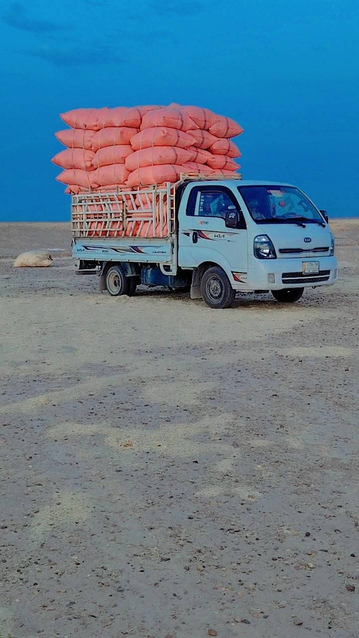 تبن للبيع واصل البيت مكاني الحجاج الكبسه 160وبيه مجال الستفسار علئ هاذا الرقم ***********
