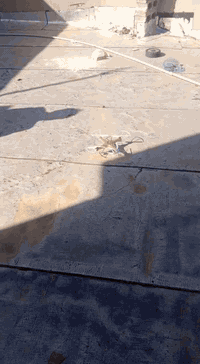 السلام عليكم طياره درون لبيع يجي وياها
1جناحين احتياط 
2 تكدر اشد كاميرا بيها 
3 سعر 30 
مكان كركوك حي العسكري


**إذا كنت صاحب هذا الإعلان وتريد حذفه لأي سبب، رجاءا أرسل رسالة إلى الدعم الفني**