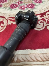 كانون 6 مارك 2 • عدسة سيجما 70-300 • بابل