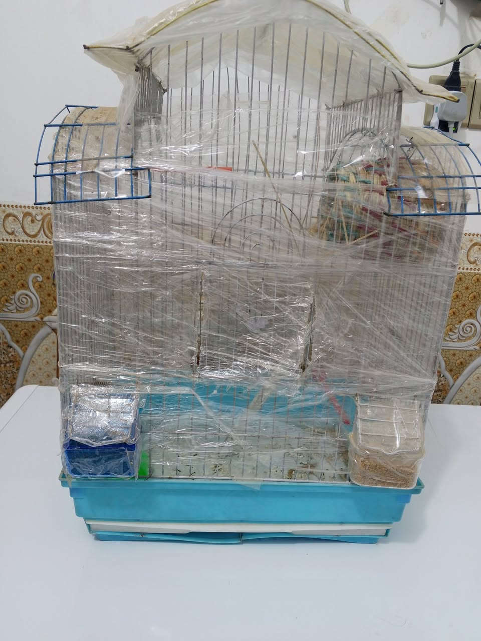 متاح قفص كلش نظيف هوة وملحقاته سعره 10 الف قفل مكان الرمادي


**إذا كنت صاحب هذا الإعلان وتريد حذفه لأي سبب، رجاءا أرسل رسالة إلى الدعم الفني**