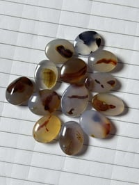 نواعم • مجموعة • للنساء