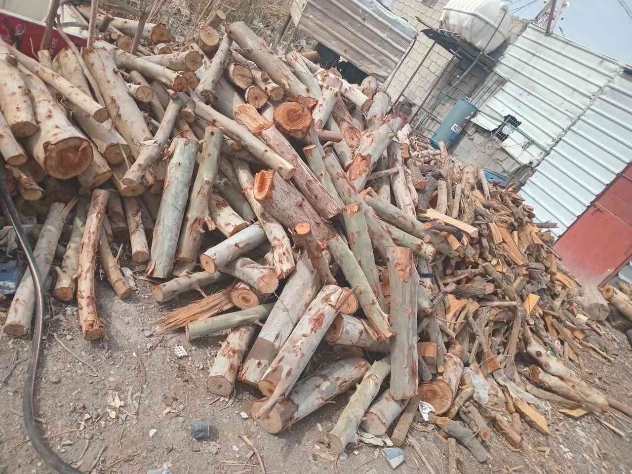 السلام عليكم لدينا انواع الحطب الشوي حطب مندي ومال سمج يتوفر من طن وما فوق ويوجود خدمة توصيل إلى جميع المحافظات للحجز والاستفسار الاتصال على الرقم الخاص للمبيعات ومتوفر واتساب/***********
