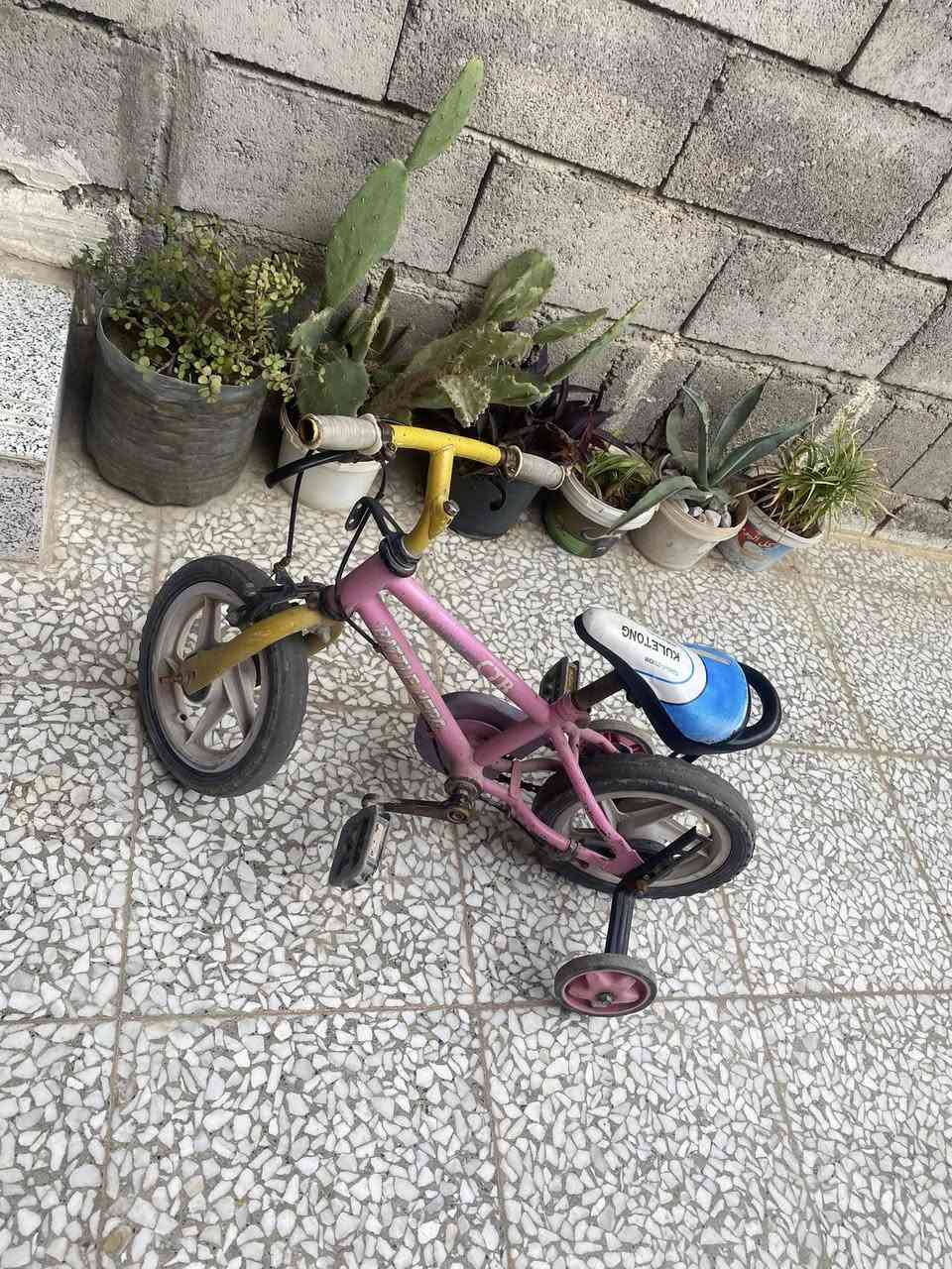 بايسكل للبيع
السعر 25وبي مجال


**إذا كنت صاحب هذا الإعلان وتريد حذفه لأي سبب، رجاءا أرسل رسالة إلى الدعم الفني**