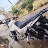 سنكي • ١٥٠ • ٢٠١٩