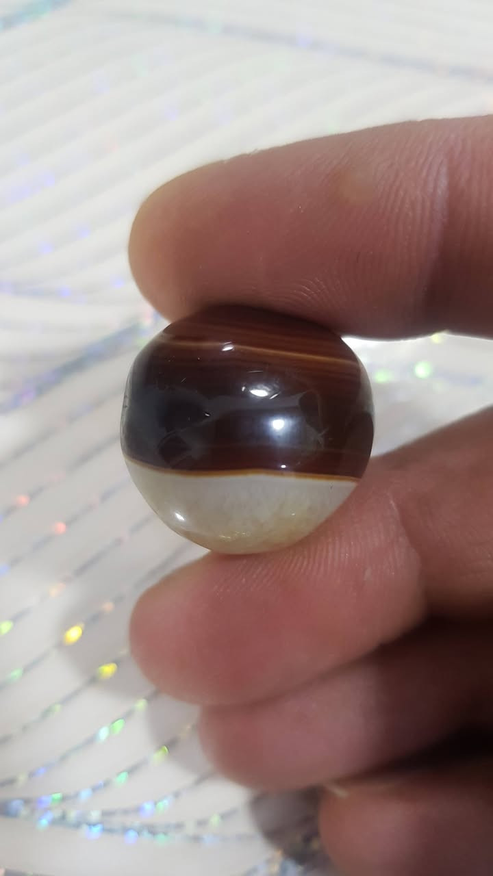 للبيع


**إذا كنت صاحب هذا الإعلان وتريد حذفه لأي سبب، رجاءا أرسل رسالة إلى الدعم الفني**