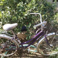 شباب بايسكل للبيع حجم 26 رقم التليفون ب 25 ورقم التليفون 07821748290