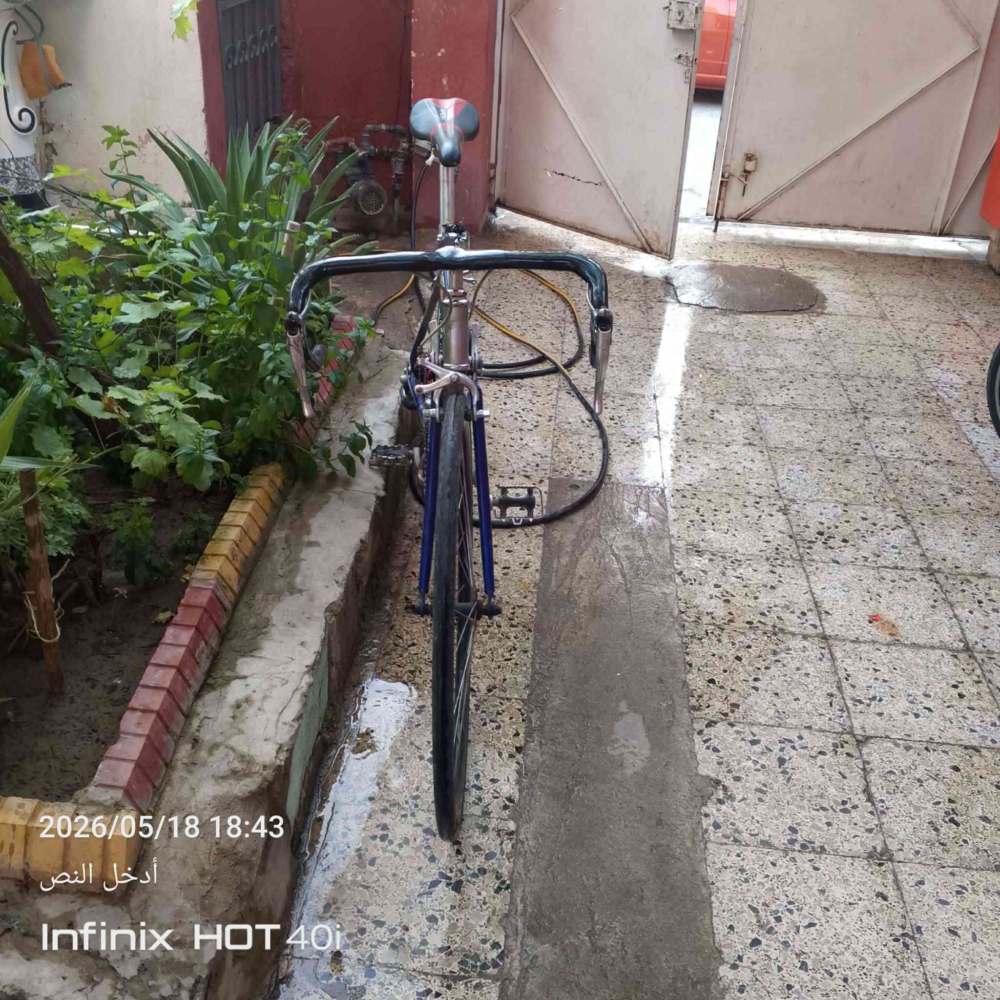 ثلث قطع بايسكلات الواحد على 100نظيف وجديد العنوان حي صدام


**إذا كنت صاحب هذا الإعلان وتريد حذفه لأي سبب، رجاءا أرسل رسالة إلى الدعم الفني**
