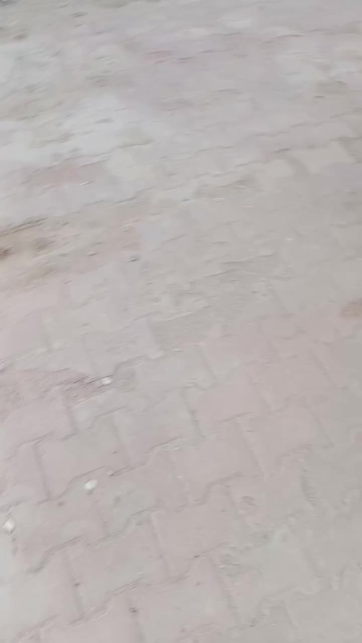 السلام عليكم ماكس عدله مبدل بوشه 55سلف 55نكره سلف بكل وكت زوج تايرات جدد وياله كروم ومستعجل على بيعته وشراي تعال خاص وتدلل وسعره 600وبيه مجال: ***********
