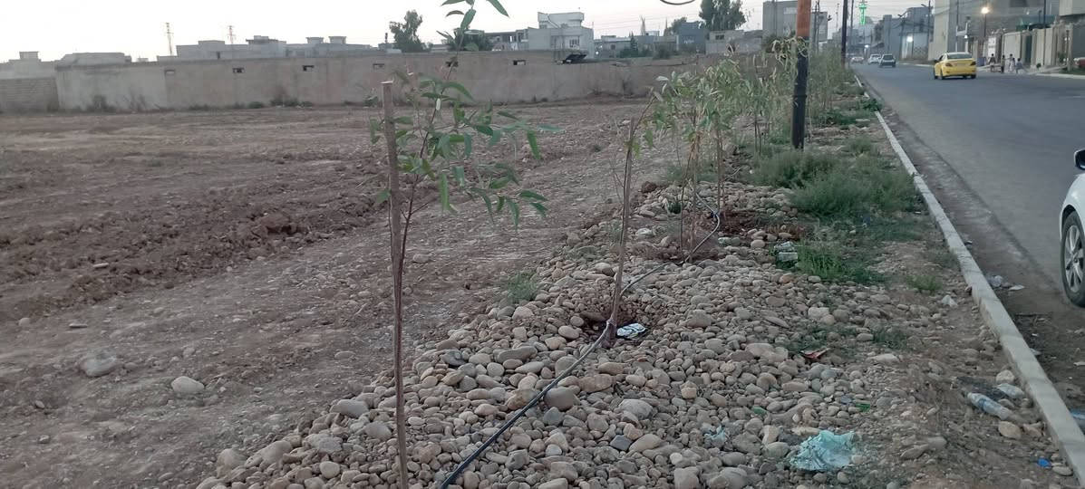 ارض للبيع على شارع السادس  ***********          ***********
