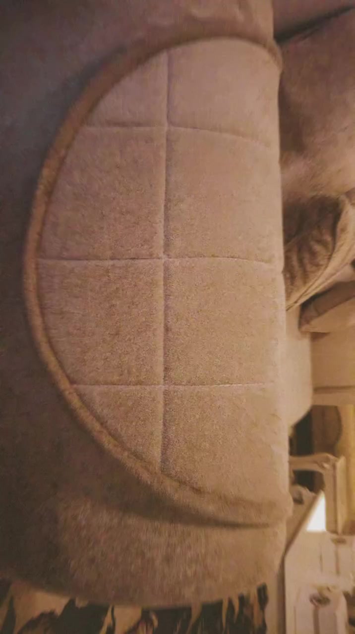 تخم ١٠مقاعد للبيع سبب مكان صغير تفاصيل اكثر خاص اي ضرر مابي


**إذا كنت صاحب هذا الإعلان وتريد حذفه لأي سبب، رجاءا أرسل رسالة إلى الدعم الفني**