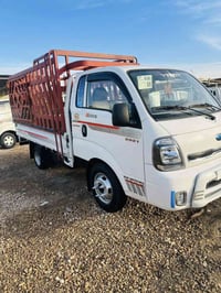 للبيع فحل موديل ٢٠٢١مكفول كفاله عامه  رقم قادسية سنويه جديده ماشي ٩٠ س...