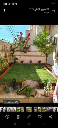 تنضيف وقص حديقه وتنضيف نخيل الي يحب يتصل ع هذا رقم.وتساب 07874624078