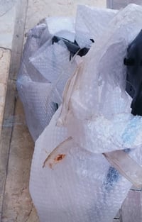 شاصي17 • كوت حكيم • صور غير واضحة