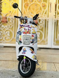 بوليسية مسطرة • كفالة عامة • مغلفة PPF