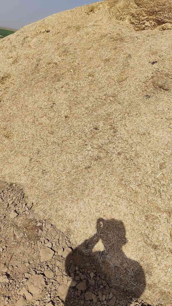 السلام عليكم
يوجد تبن للبيع
نضيف ابيض المكان ديالئ /العظيم
الهاتف ***********
