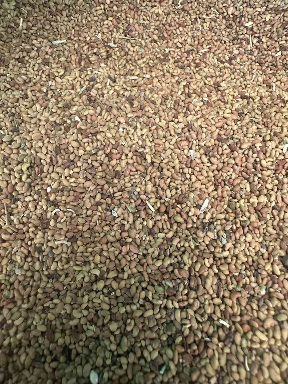 من القسم الزراعي - مكتب الريف الزراعي الفني
يعلن المكتب عن وصول وجبة جديدة من المحاصيل والبذور 

🧅 البصل (بأنواعه) فسقة 
• بصل بعشيقة: 1,000 دينار / للكيلو.
• بصل أحمر حار: 1,000 دينار / للكيلو.

🌽 البذور والحبوب
• بذور ذرة عربية: 1,000 دينار / للكيلو.
• شعير صيفي (شركة الجوهرة): 6,000 دينار / للكيلو (نخب أول/بشرط الفحص).

🌱 الجت 
• جت عراقي: 10,000 دينار / للكيلو.
• جت مصري (بزارة عراقية): 12,000 دينار / للكيلو.

📍 الموقع والعنوان
محافظة صلاح الدين – قضاء العلم – بالقرب من سيطرة 14.


**إذا كنت صاحب هذا الإعلان وتريد حذفه لأي سبب، رجاءا أرسل رسالة إلى الدعم الفني**