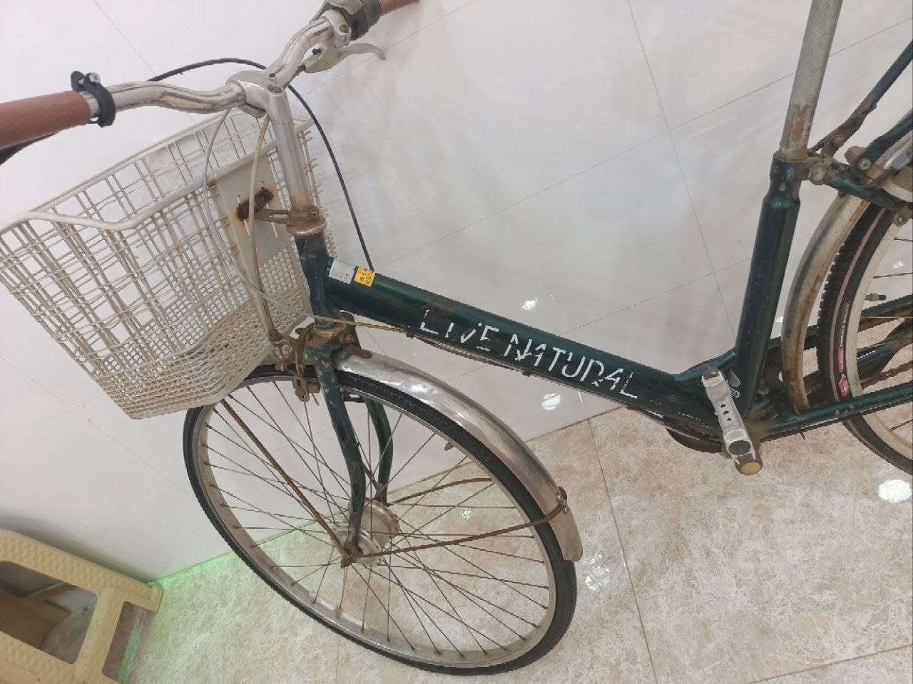 سلام عليكم بايسكلات باله ياباني ب سعر مناسب


**إذا كنت صاحب هذا الإعلان وتريد حذفه لأي سبب، رجاءا أرسل رسالة إلى الدعم الفني**