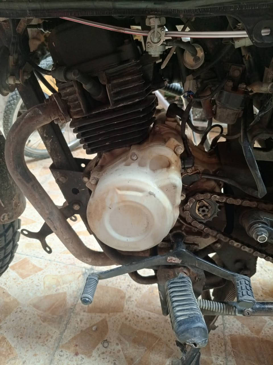 دراجه بوكسر 
موديل: 22
مرقم: سنويه بسمي 
دراجه: نضيفه 
جيب فيتر وفحص 
سعر 1800
مستعجل عله بيعتهة


**إذا كنت صاحب هذا الإعلان وتريد حذفه لأي سبب، رجاءا أرسل رسالة إلى الدعم الفني**