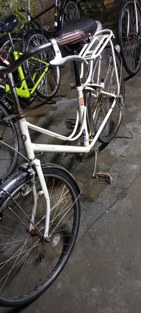 متاح بايسكلات بناتي للبيع سعر واحد 110


**إذا كنت صاحب هذا الإعلان وتريد حذفه لأي سبب، رجاءا أرسل رسالة إلى الدعم الفني**