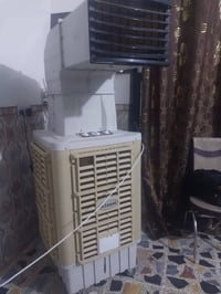 مبرده • مستخدمة يومين