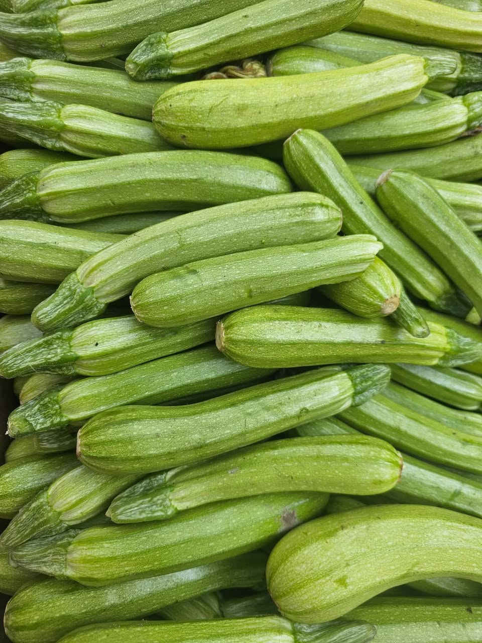 سلام عليكم مسواك اليوم شرط النظافة وتازة ودرجة أولى خابرني اجيك يم الباب 

***********
