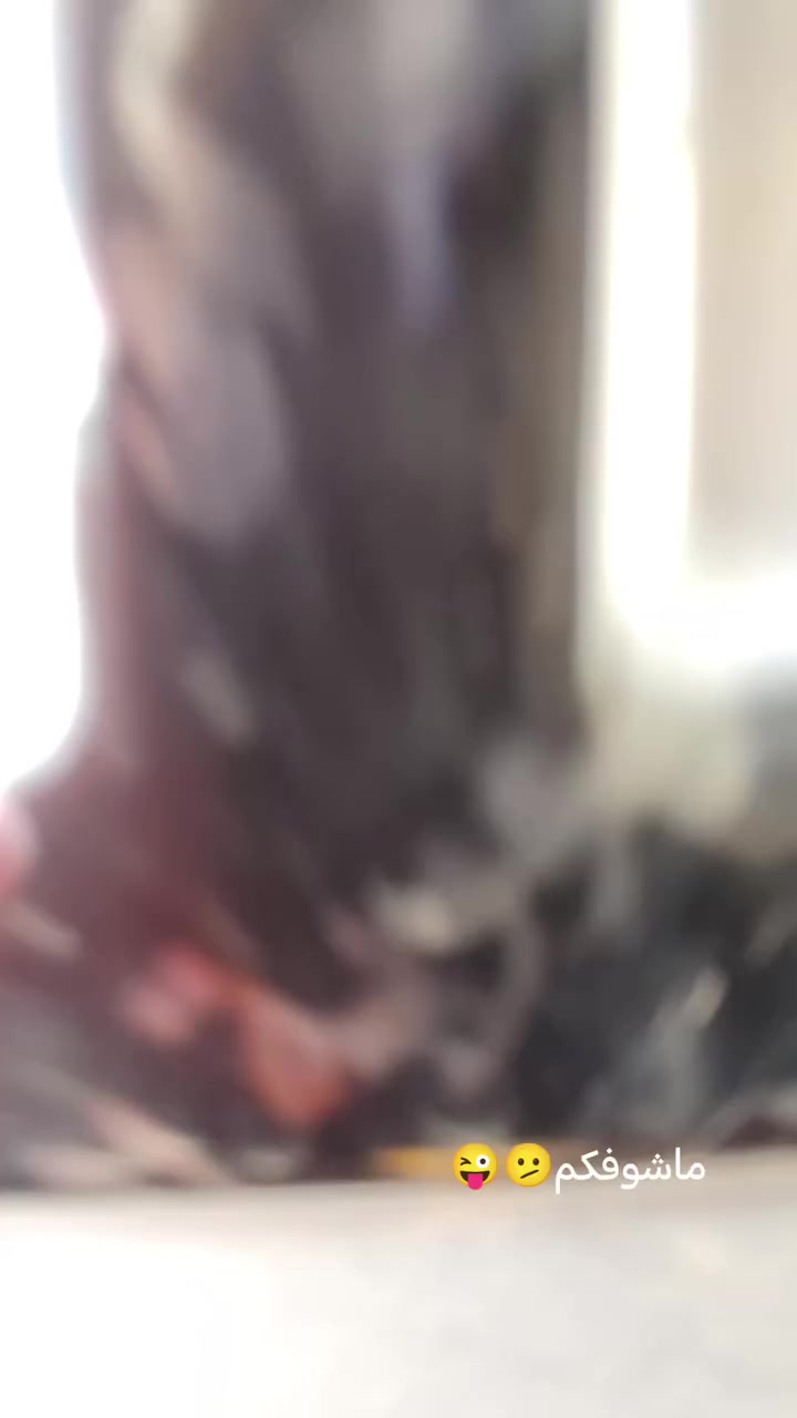 سلام عليكم تكتك للبيع 2022مكفوله بس دوس معمرات تكتك حلوه مكينه بوشه وبستم فقط مكاني مدينه الصدر ***********
