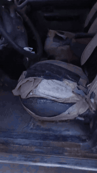 للبيع • سيارة • بدون تفاصيل