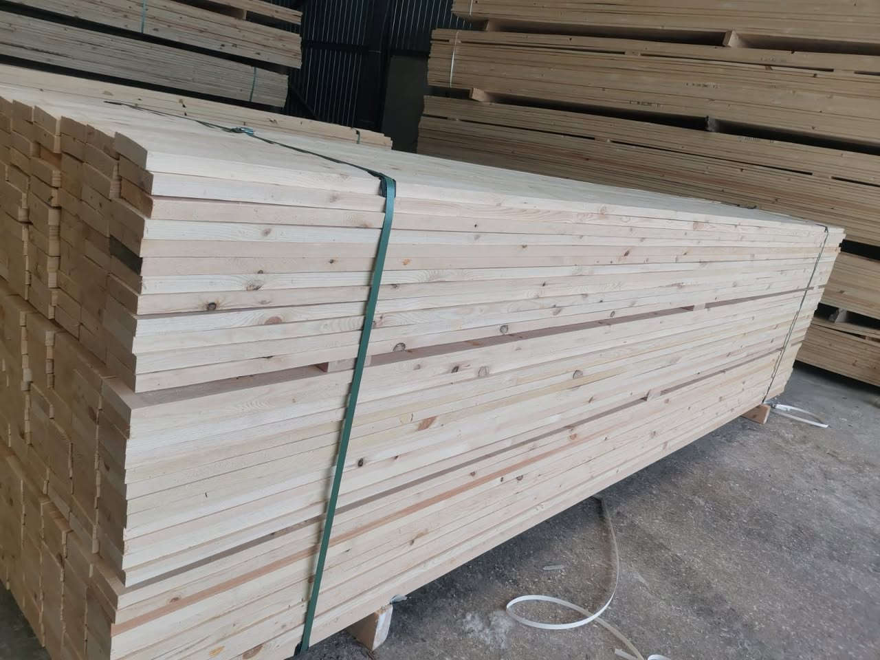 Pine 🌲 trees


**إذا كنت صاحب هذا الإعلان وتريد حذفه لأي سبب، رجاءا أرسل رسالة إلى الدعم الفني**