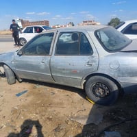 تفصييخ سيفيه • ١٩٩٤ • المسيب