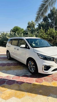 طلاب جامعه العين • السماوه - الناصريه • سيارات حديثه