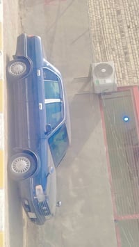 ارنب طويل • مكفولة مكينه وكير • رقم بغداد