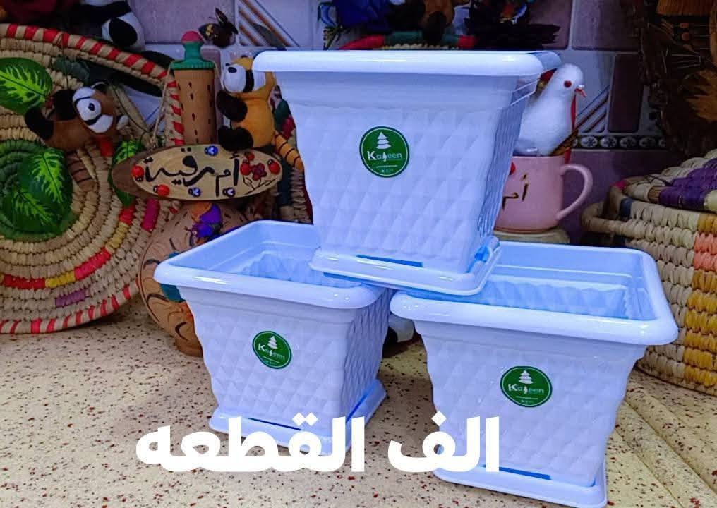 🪴🪴لتشجيع على الزراعه ازرع لو سندانه بسيطه🪴
🌹واكيد شكل زرع ثاني مع سندانه ذات الألوان زاهيه🎉
يغير من شكل زرعك و تشوفه شكل ثاني و اعطيته اكثر جماليه زين ركن بيتك و حديقتك 🌹
سويت لكم عرض وكميه محدوده
🎊 القطعه الف فقط 🎉
🪴وكل سنادين  نوعيه ممتازه 🪴
🚕توصيل كل محافظات العراق 🚕
🌹🪴الزرع لعرض فقط🪴🌹
لحجز على خاص 
***********
