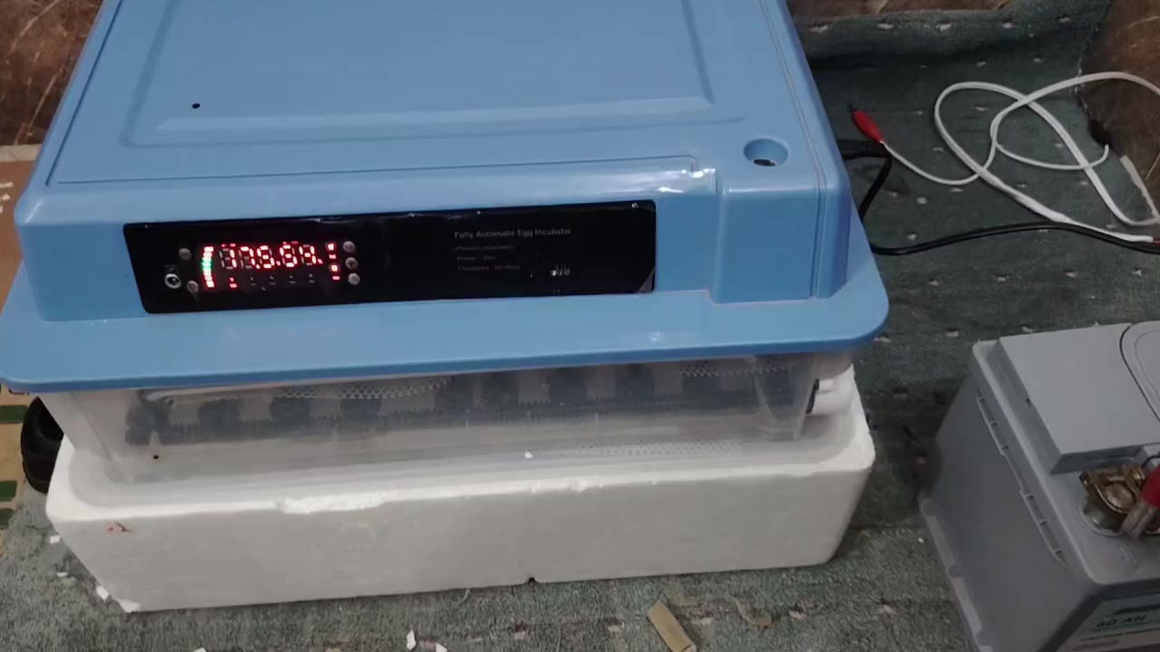 مقفاس للبيع بسعر مناسب يأخذ 120 بيض اوتوماتيك فول الي يريده يجي خاص او يكتب بل تعليق


**إذا كنت صاحب هذا الإعلان وتريد حذفه لأي سبب، رجاءا أرسل رسالة إلى الدعم الفني**