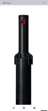 تأسيس حدائق • نوزلات حديثة • قرب أبو سلام