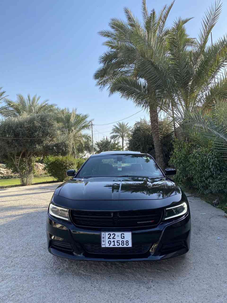 سلام عليكم
دوج جارجر SXT موديل 2022
فول 1/1 ماشيه (66) mil وارد أمريكي
المواصفات:-
فتحة سقف
حساسات خلفيه
هيتر بل مري 
كشنات جلد
كشنات تدفئه تبريد
كشنات كهرباء بل كامل
خزن ميموري
كشنات خلفيه تدفئه
شاشه كبيره تدعم كار بلاي
عداد 140
سستم صوت الباين
سبير منازل
دبل كزوز خلفي
محرك 6سلندر 3.6L
صدر امامي خلفي جديد
حادث جاملغ امامي جهة الصدر فقط بدون دواخل والباب مرشوش كلير
السعر (260) وبيه مجال
مكاني بغداد الدوره 
الاتصال عله الرقم (***********)
