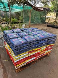 بتموس عراقي • توصيل المسيب • نوعية ممتازة