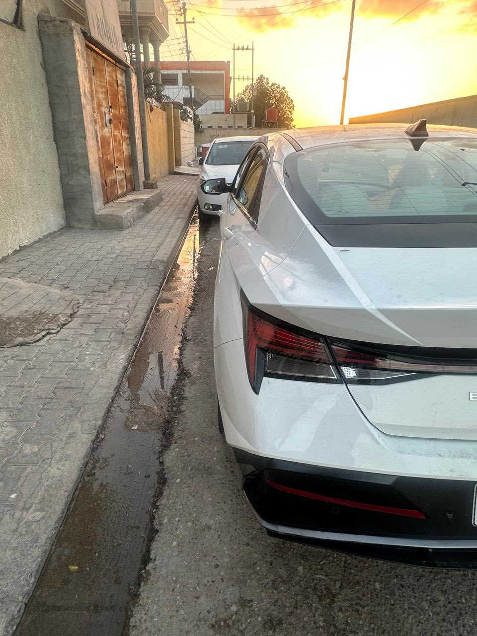 النترة 2024 خليجي فول مواصفات ماشية 19كفالة الرقم بصرة السعر 193     ***********
