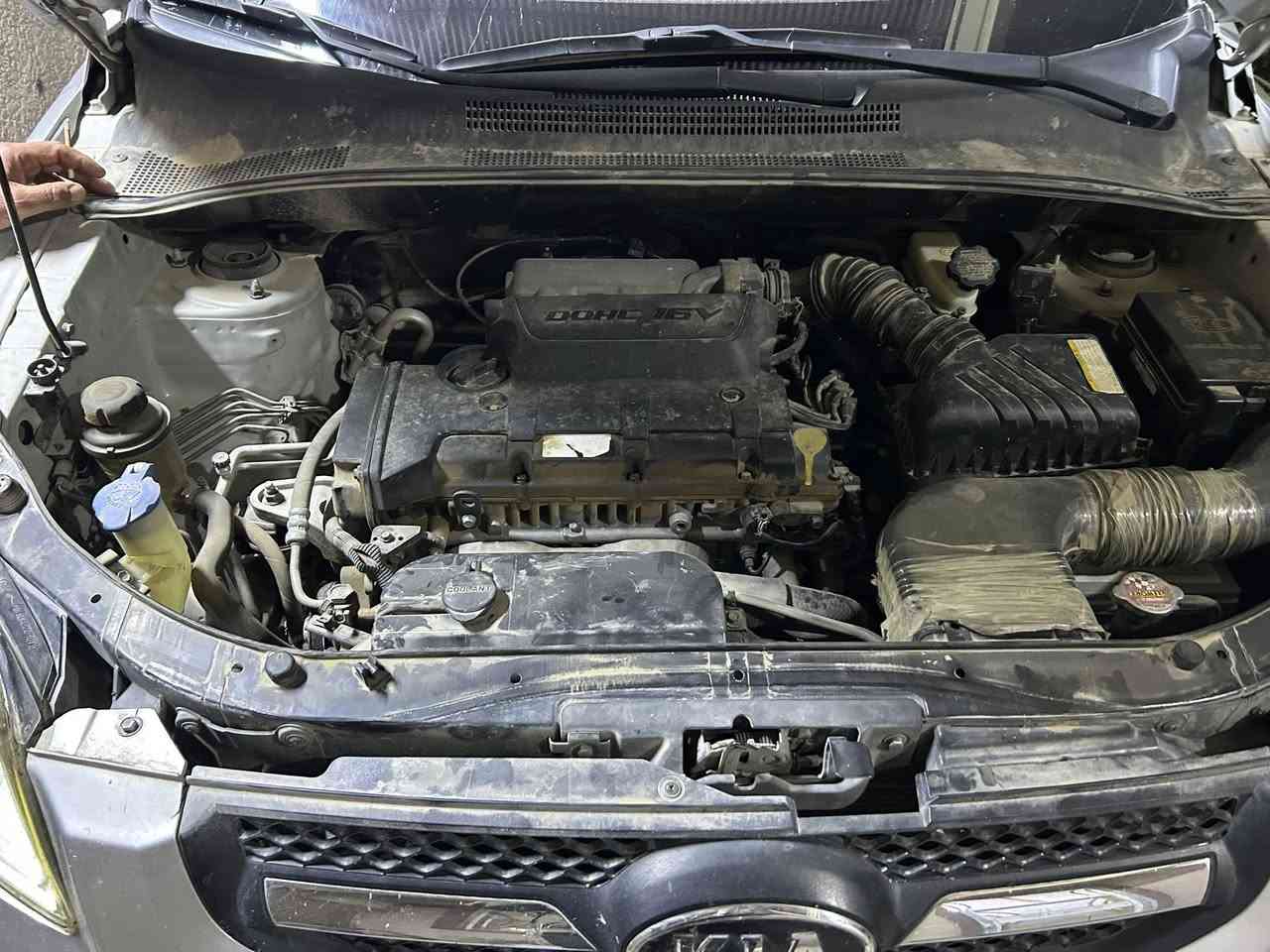 السلام عليكم سبورتج 2010وارد كوري كفالة عامة 

فول مواصفات عدا البصمة 
كشنات تدفئة 
مري شفط 
تحكم ستيرن جهتين 
فتحة سقف 
كشنات جلد 
مكينة جديدة شاديلها 
تخم تاير وباتري جديد 
بيها نقص بس كمبريسر التبريد 
رقم بغداد بأسمنة وسنوية ماساقطة 
السعر 125 وبيها مجال بسيط 
مكان السيارة بابل الاسكندرية 
للاستفسار ***********
