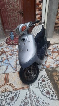 منغولي • نضيفه • البصرة