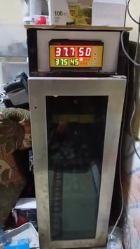 فقاسة • ١٠٠ بيضة • بني منصور