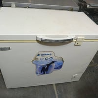 مجمدة • ١٤ قدم • بلرئاسة المشتل