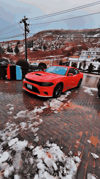 السلام عليكم
جارجر موديل 2019  Gt خليجي وكالة هارلم 
محرك 3600
لون برتقالي مميز 
سلايد
كشن كهرباء
شاشة كبيره
ويل 20 تخم تاير جديد
مراية داخلية عاكسة
سوبر تراك باك
بلوتوث حاكية  سستم صوت الباين
لايت زنون بلادي من الوكالة
كشنات جلد
دكمة sport
شفتات ستيرن
السيارة بيهه طخه بالباب الخلفي.. وpdr شبر بين الباب والجاملغ الامامي
السعر 26500$
العنوان بغداد
***********
